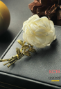 BÔNG CÀI NGỰC 17