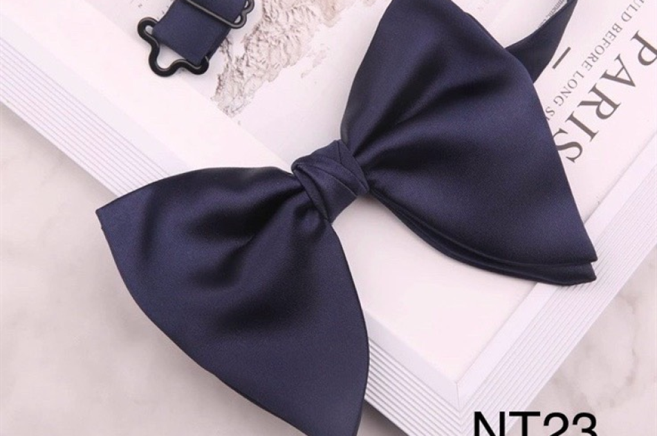 NT 23